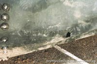 BH7 being moved to The Hovercraft Museum